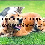 Hotel Brit Essentiel Saint-flour 2*