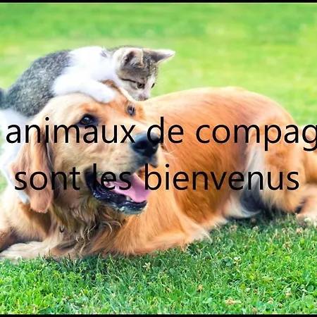 Hotel Brit Essentiel Saint-flour 2*