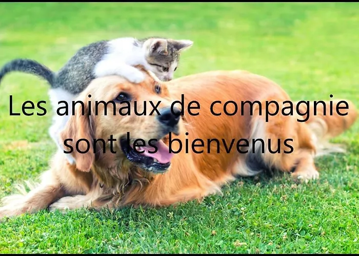 Hotel Brit Essentiel Saint-flour 2*